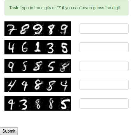 Amazon Mechanical Turk interface used by workers to label adversarial examples.